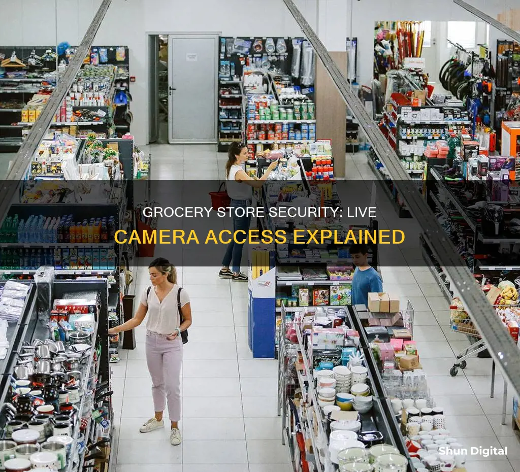 how to see grogercy store securit camera live