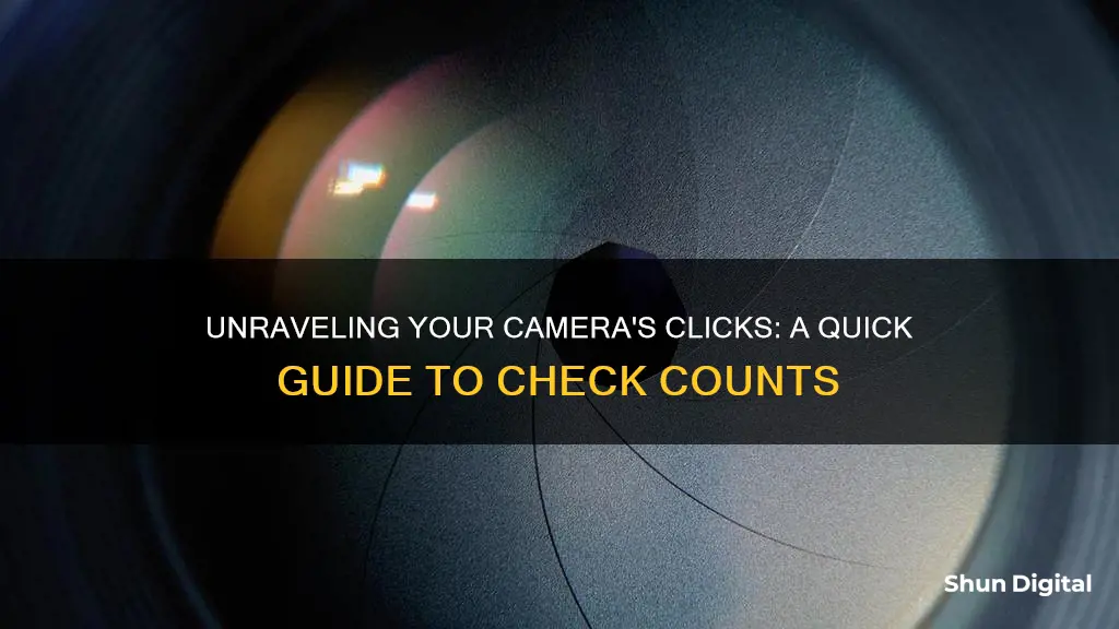 how to see how many clicks a camera has