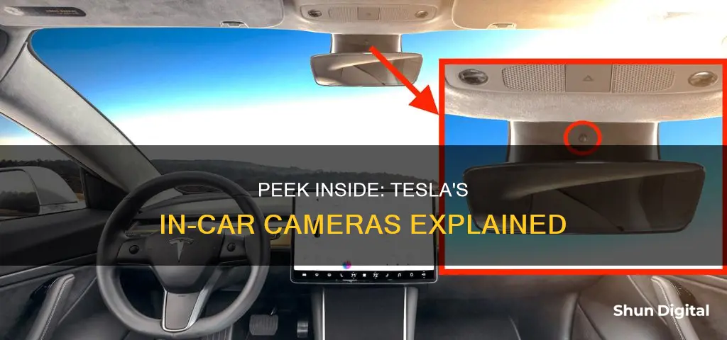 how to see inside camera tesla