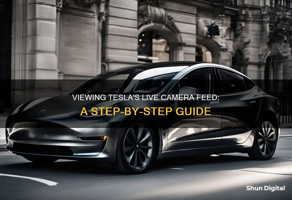 how to see live camera on tesla