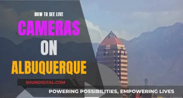 Exploring Albuquerque: Accessing Live Camera Feeds