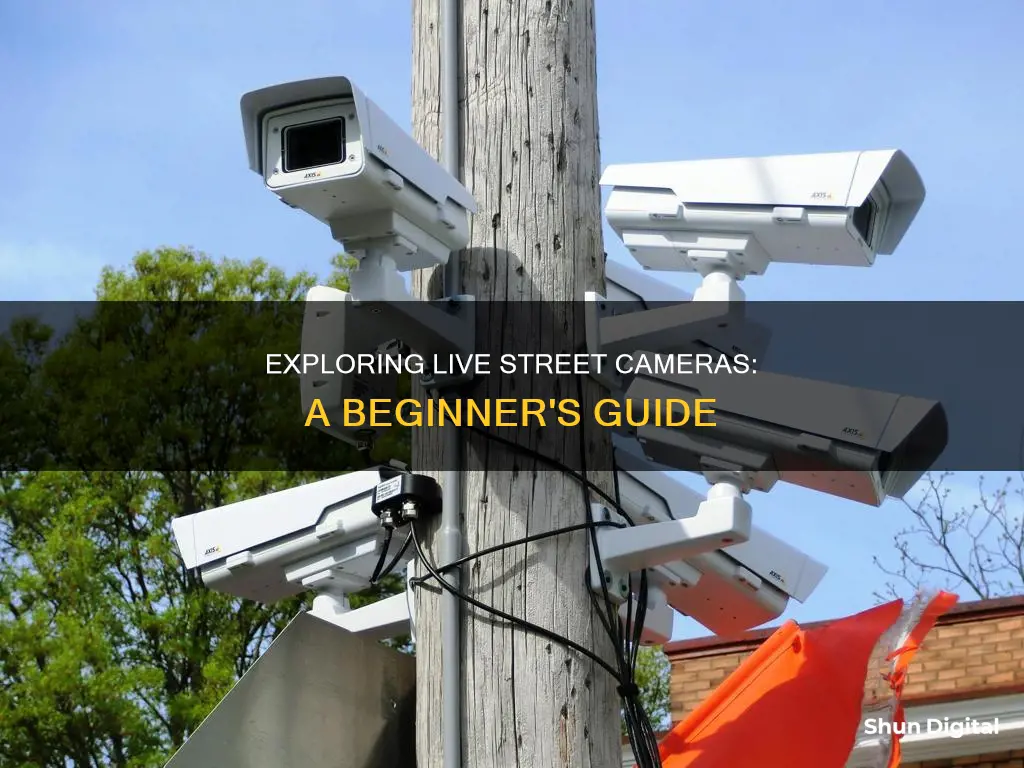 how to see live street cameras