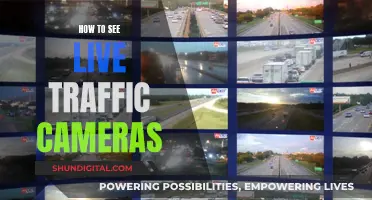 Traffic Cameras: Live-View Access and Benefits