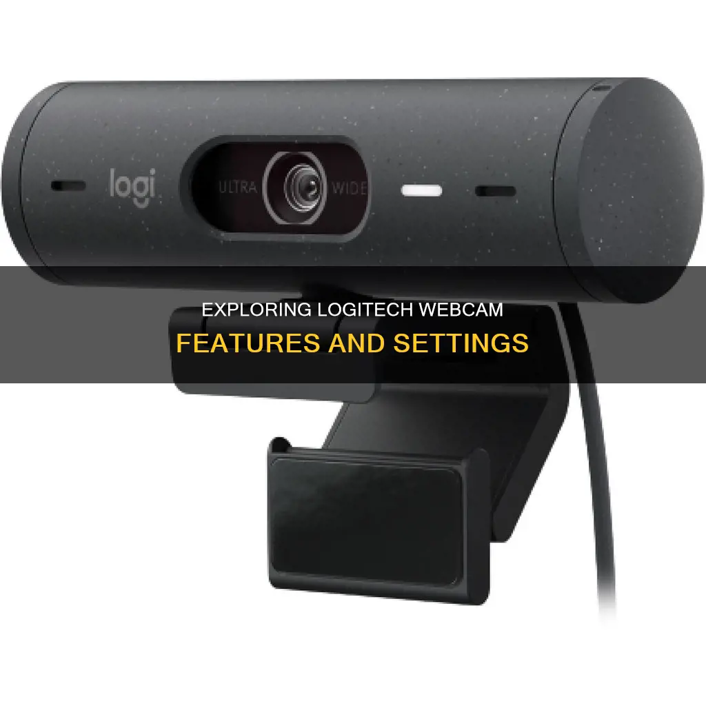 how to see logitech camera