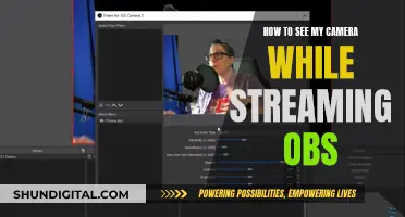 Stream Setup: Viewing Your Camera Feed While Broadcasting