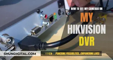 Accessing Your Hikvision DVR: Viewing Your Cameras