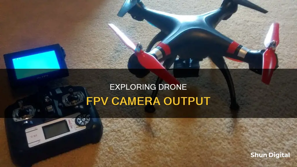 how to see output from drone fpv camers