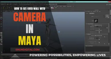 Maya Camera Tricks: See Over Walls