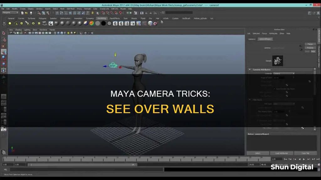 how to see over wall with camera in maya