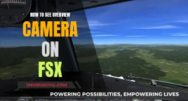 Exploring FSX's Overview Camera: A Guide to Accessing the Feature