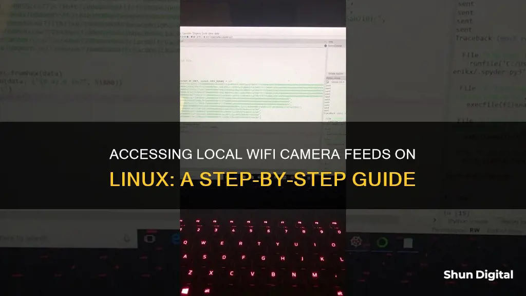 how to see peoples camera on local wifi linux