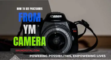 Viewing Photos: A Guide for Camera Owners