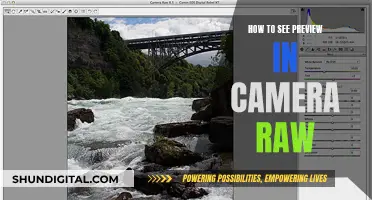 Unlocking Camera Raw: Preview Power