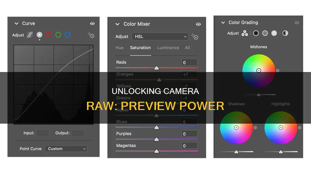 how to see preview in camera raw