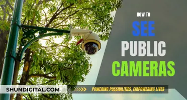 Exploring Public Cameras: A Guide to Accessing Live Feeds