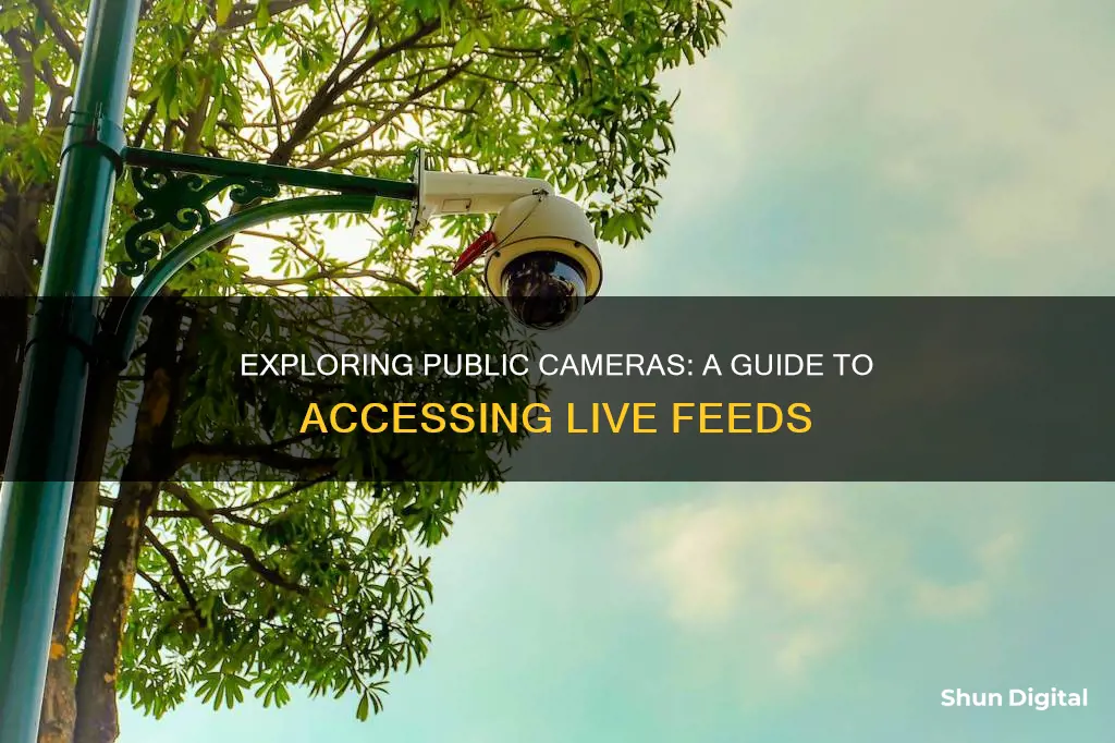 how to see public cameras