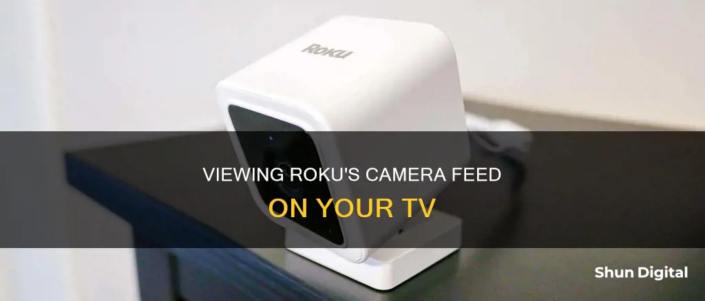 how to see roku camera on tv