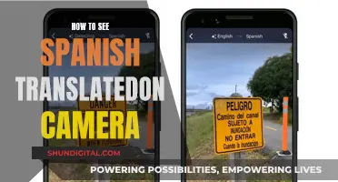 Instant Spanish Translation: Camera-Ready Tips for Travelers