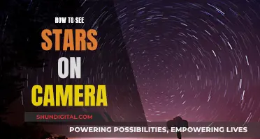 Capturing the Stars: Camera Settings for Nighttime Sky Photography