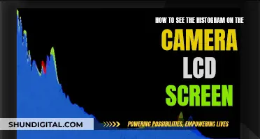 Viewing Histograms: In-Camera LCD Screen Guide