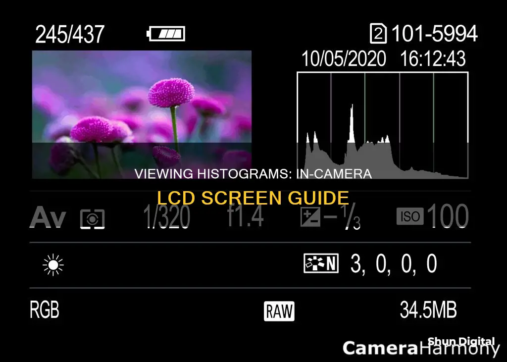 how to see the histogram on the camera lcd screen