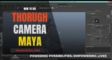 Maya Camera Viewport: A Guide to Seeing Through