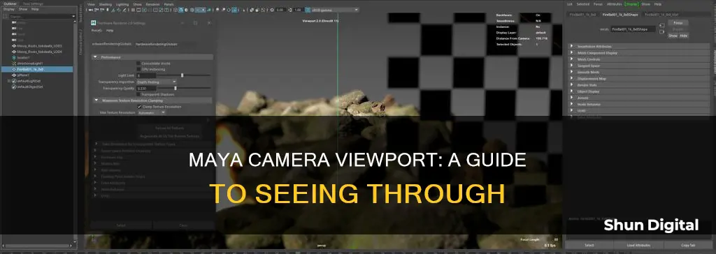 how to see thorugh camera maya