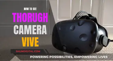 Unveiling the Secrets of Seeing Through Camera Vive