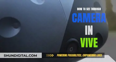 Unlocking the Vive: See Through Your Camera Lens