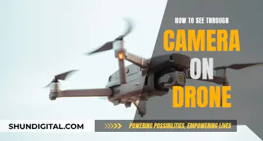 Drone Camera Vision: Seeing Through the Eye of the Drone