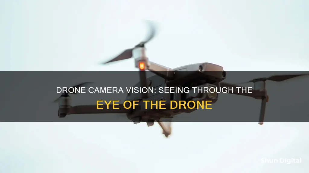 how to see through camera on drone