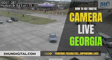 Traffic Cameras in Georgia: Live Access and Insights