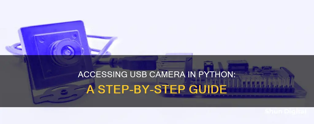 how to see usb camera in python