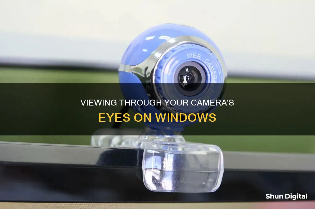 how to see what my camera sees on windows