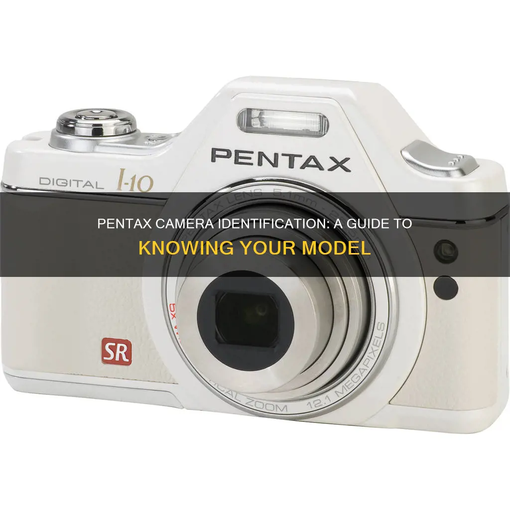 how to see what pentax camera you have