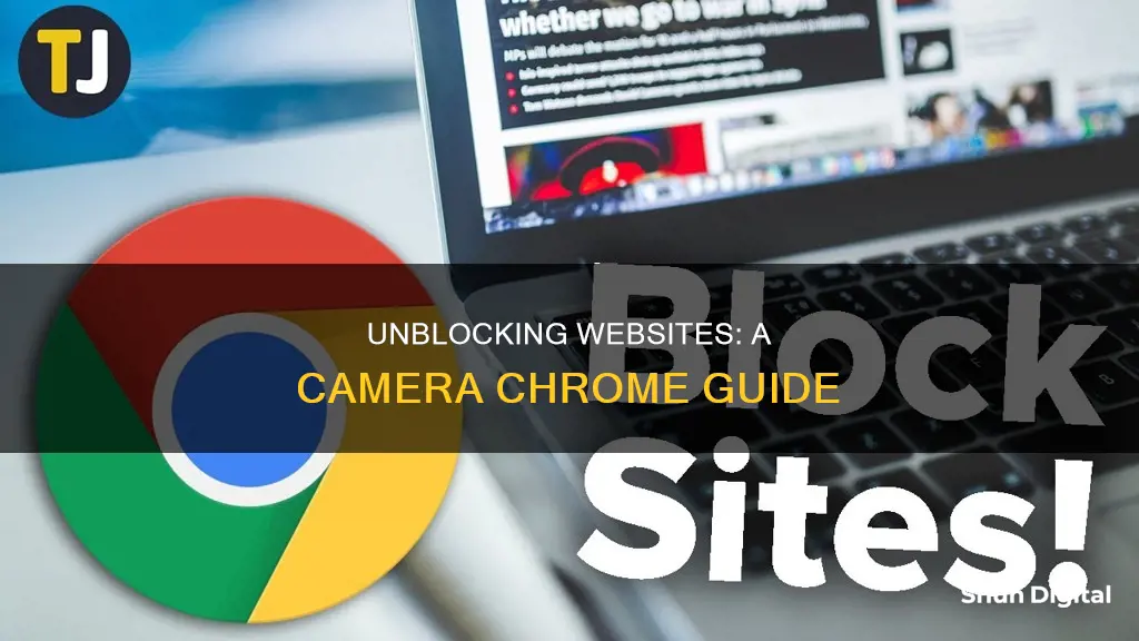 how to see what websites are bllvked ftom camera chrome