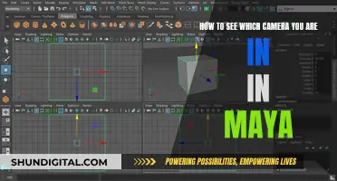 Maya Camera View: Finding Your Perspective