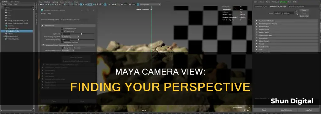 how to see which camera you are in in maya