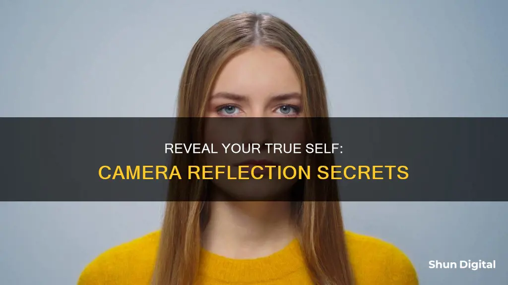 how to see your real face in camera