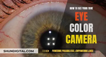 Unveiling True Eye Color: Camera Tricks to Try