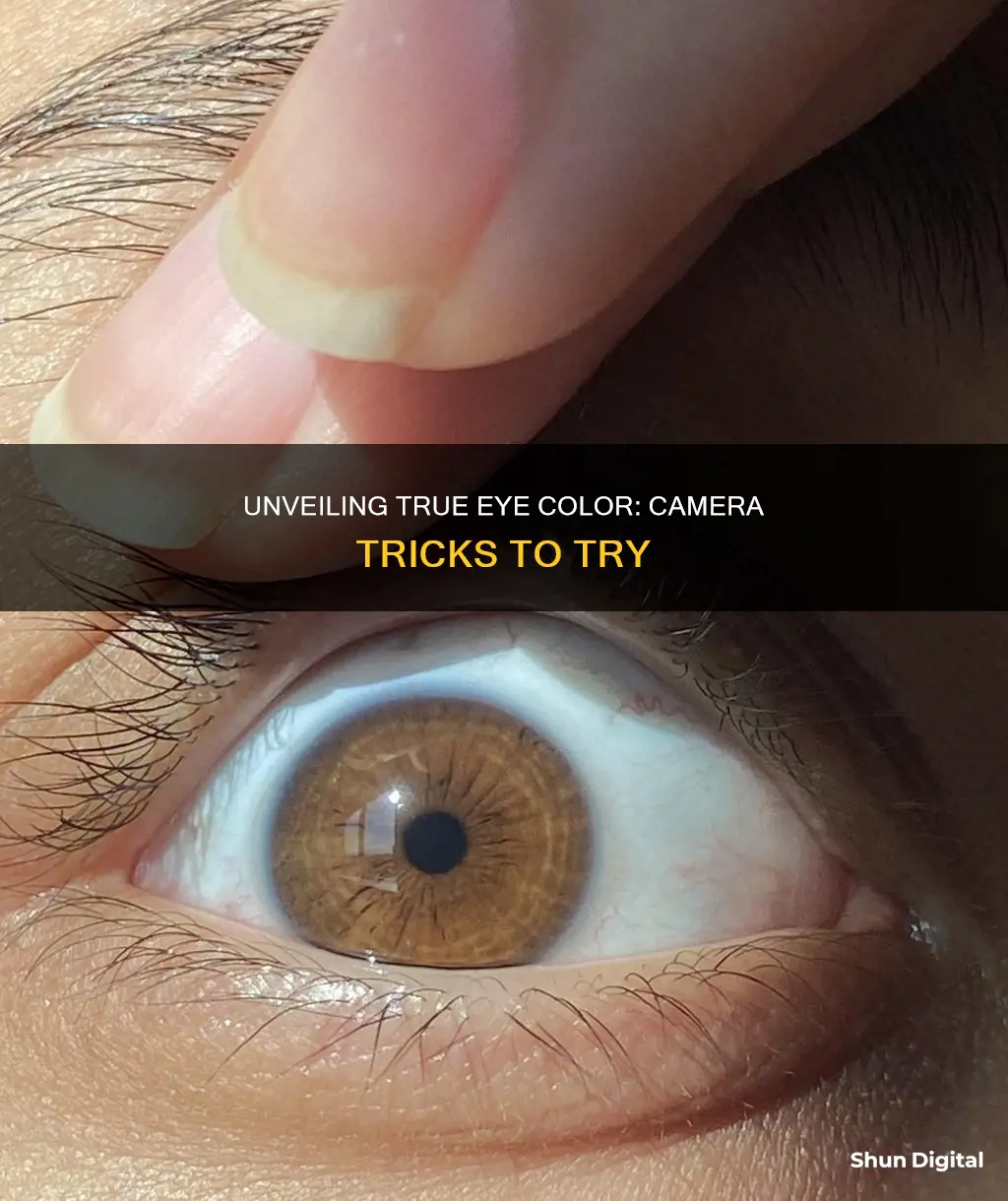 how to see your true eye color camera