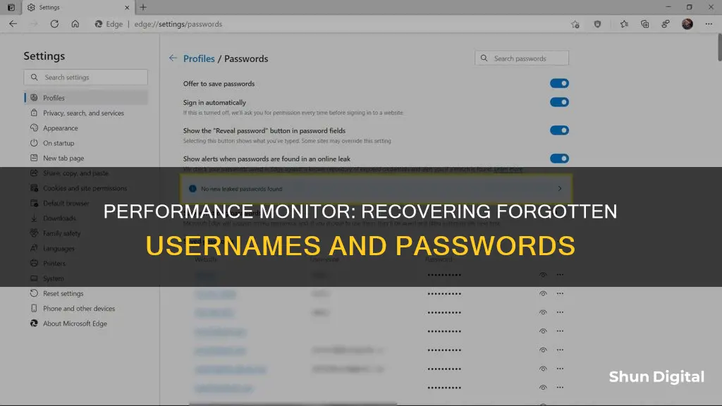 how to see your username and password for performance monitor