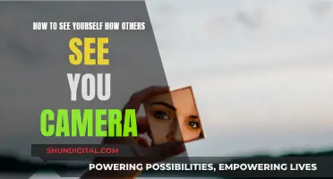 Seeing Yourself as Others Do: Camera Perspective