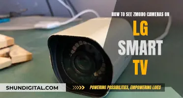 Viewing Zmodo Cameras on LG Smart TV