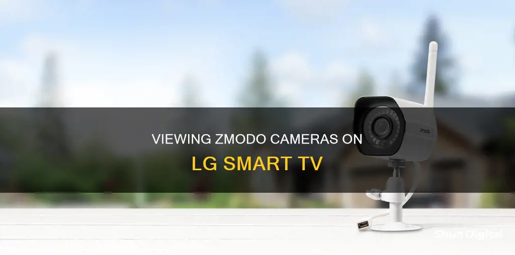 how to see zmodo cameras on lg smart tv