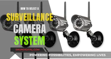 Surveillance Camera Systems: Choosing the Right One for You