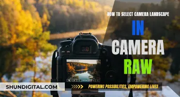 Selecting Camera Landscapes: Camera Raw Tips