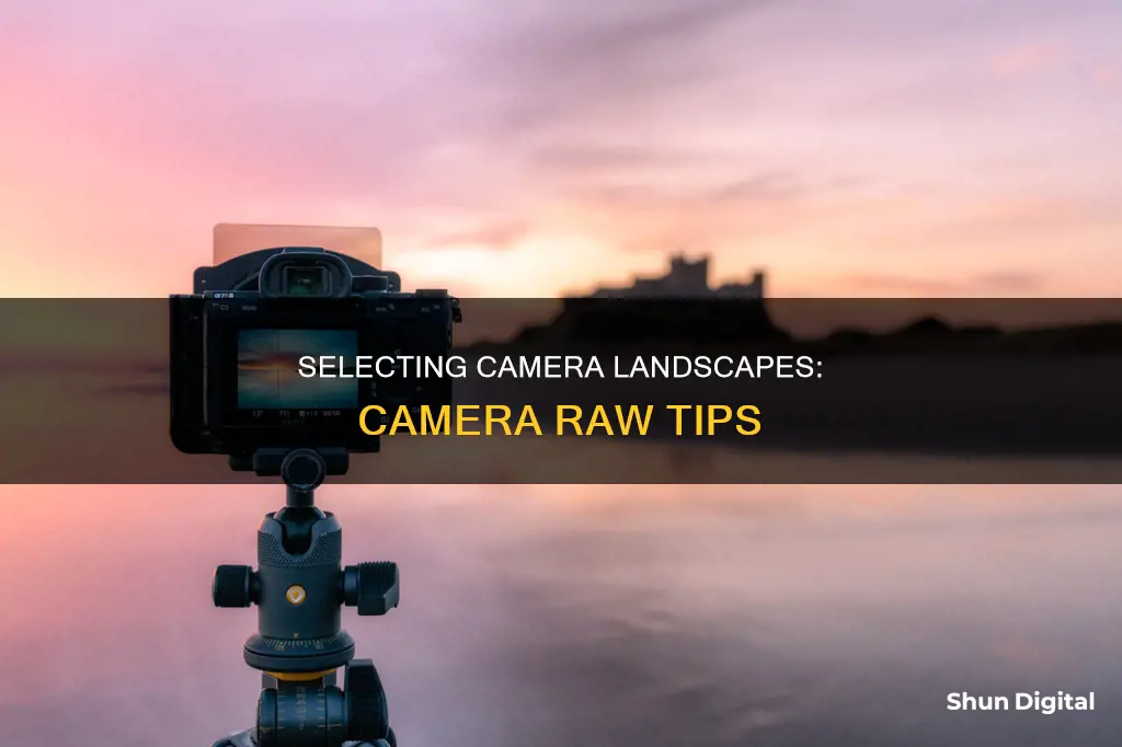 how to select camera landscape in camera raw