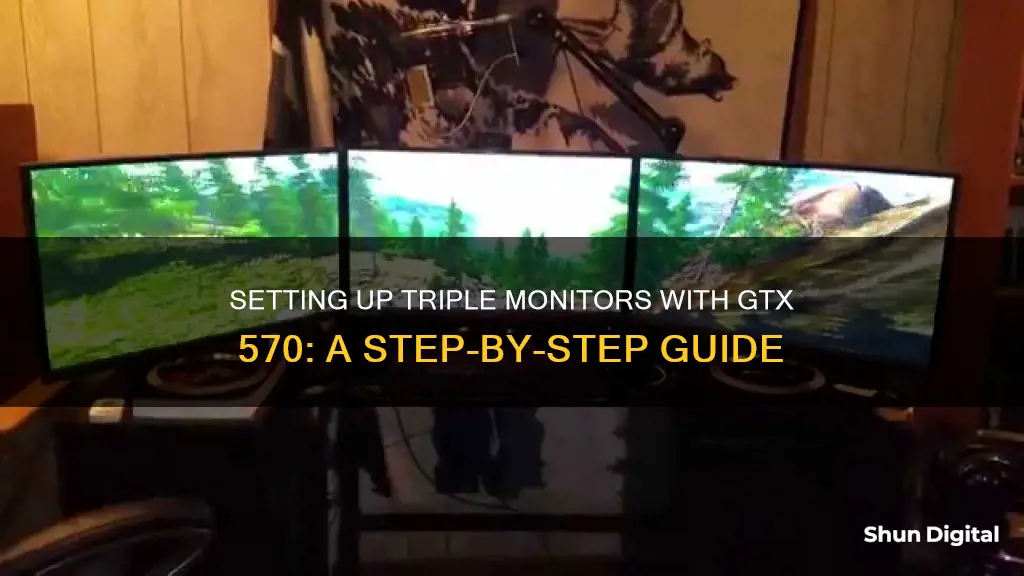 how to setup 3 monitors with gtx 570