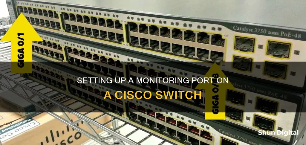 how to setup a monitoring port on a cisco switch